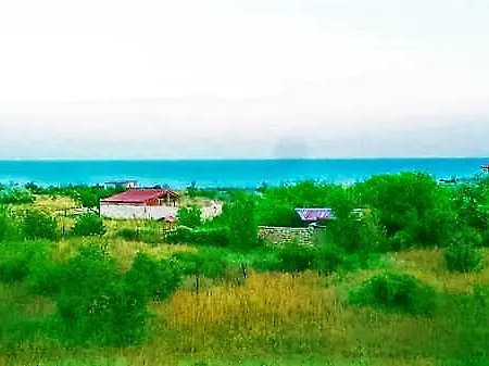 Rozmarin Balchik