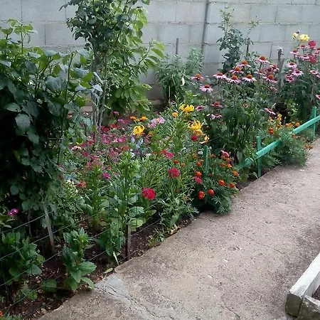 Rozmarin Guest house Balchik